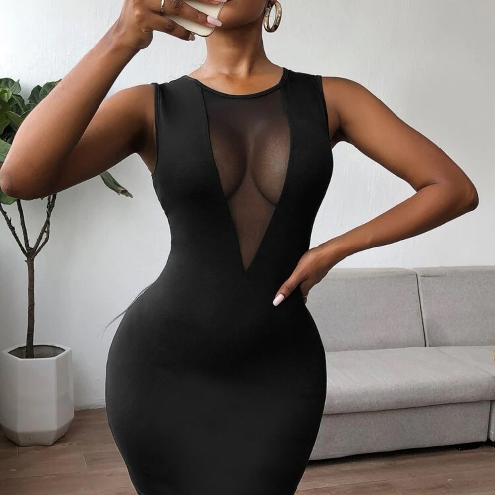 Sheer Contrast Mesh Bodycon Dress